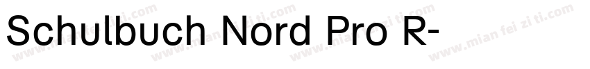 Schulbuch Nord Pro R字体转换